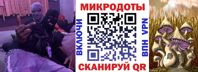 MEGA ссылка  Кувшиново  Галлюциногенные грибы мицелий  даркнет сайт 